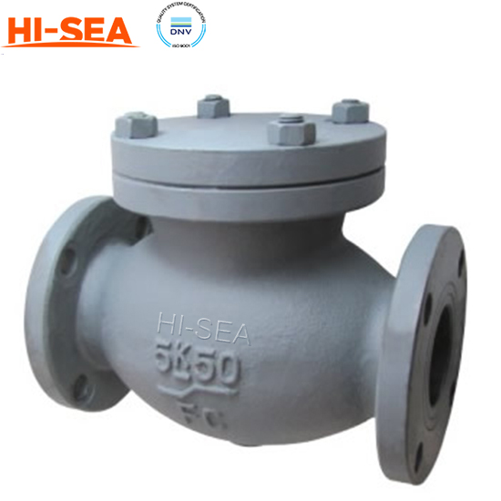 JIS F7358 Marine Cast Iron Check Valve